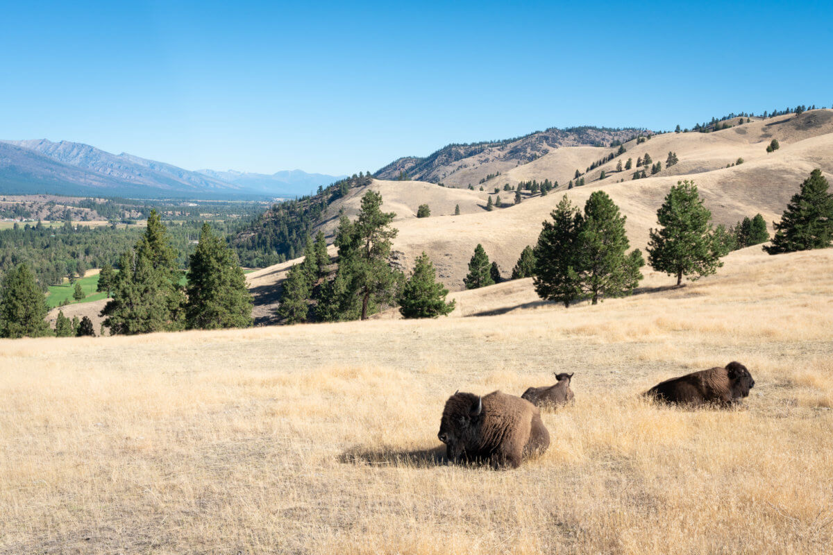 Home [www.triplecreekranch.com]