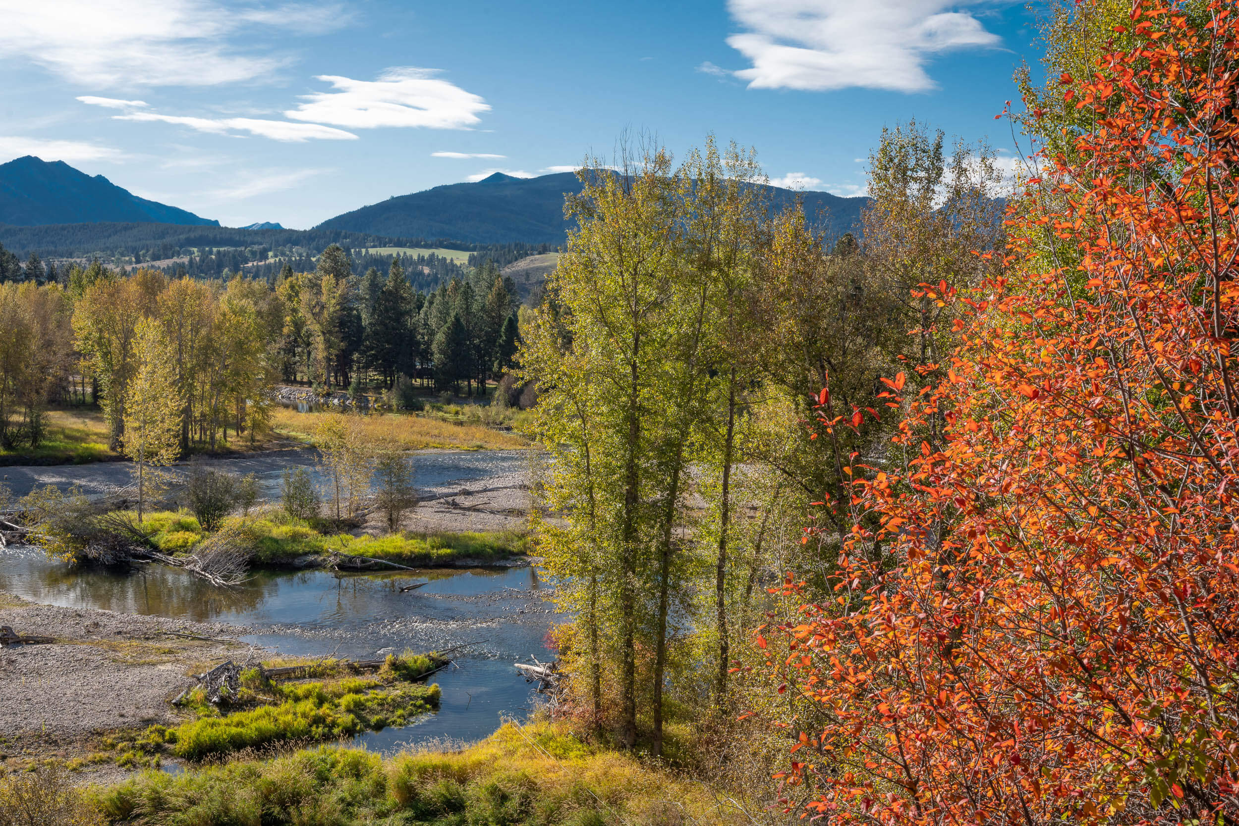 Scenic Drive River Scenery in Fall