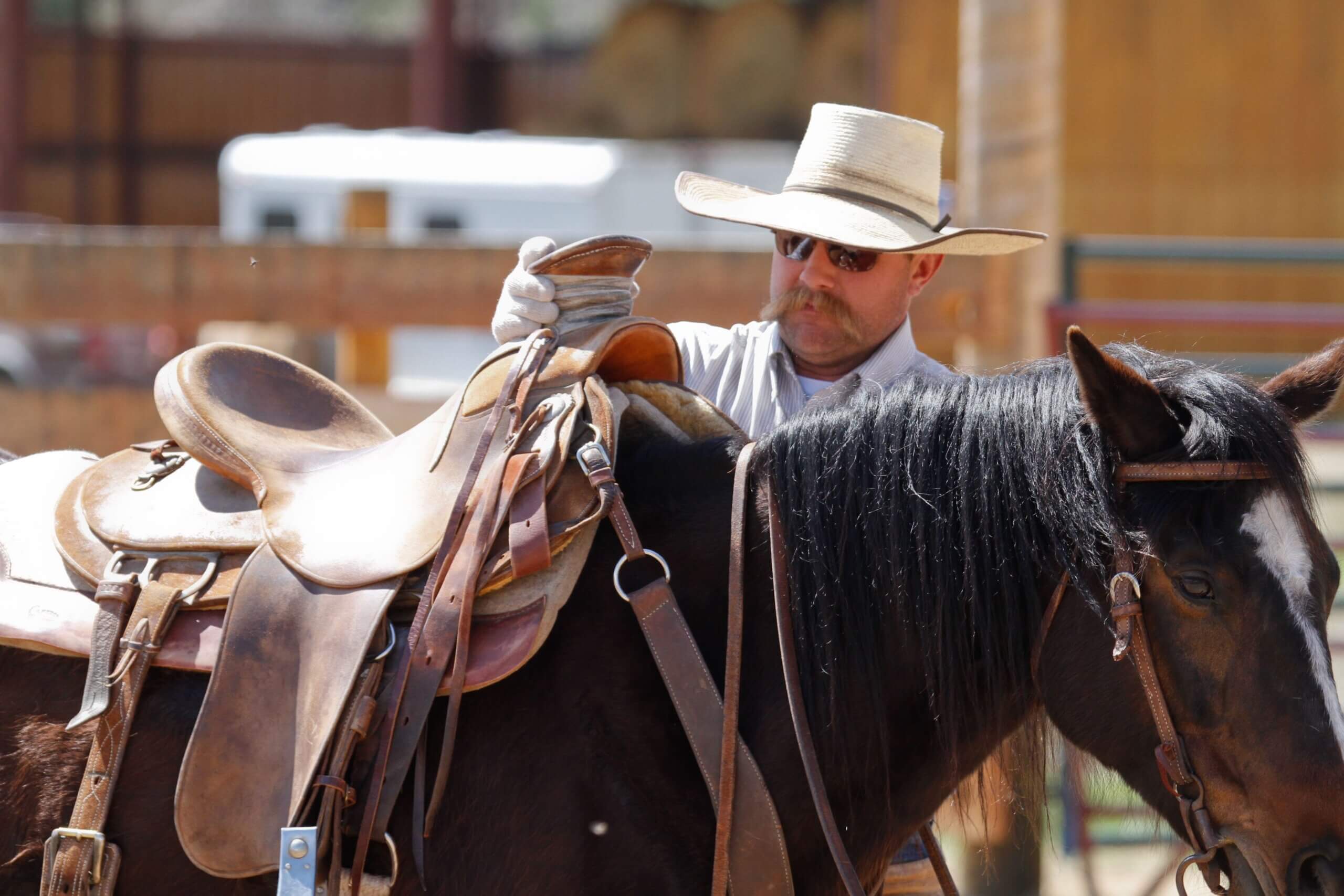 Cowboy School